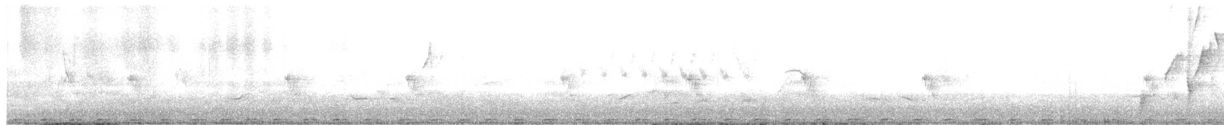 Speckled Pigeon - ML647360658