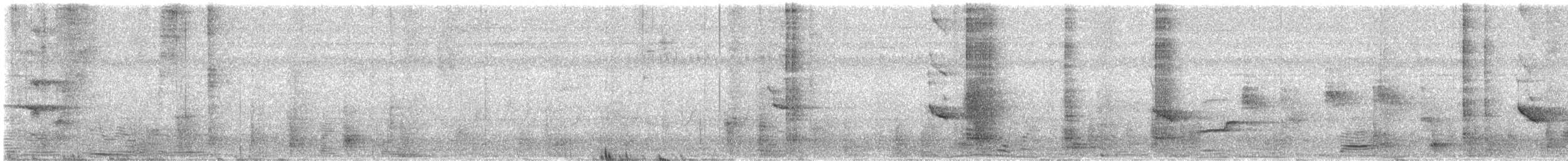 Crow-billed Drongo - ML647360893