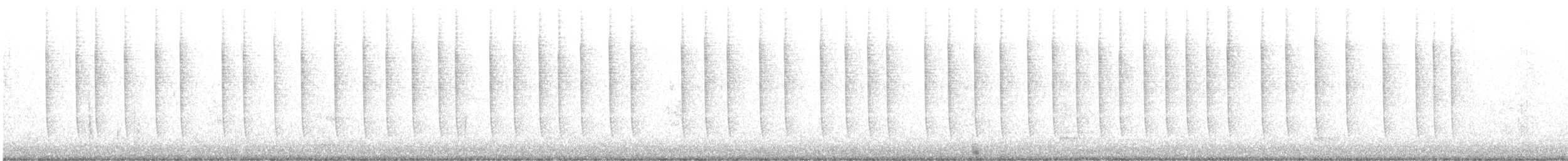 Colibrí de Allen - ML647361209