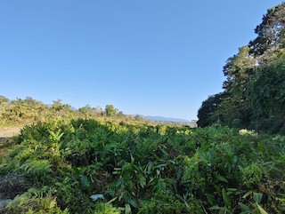 Aryan Nitin Chavan ML647361970