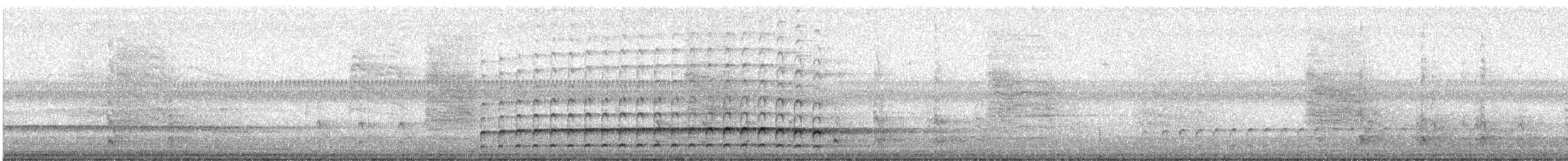 Pileated Woodpecker - ML647362126