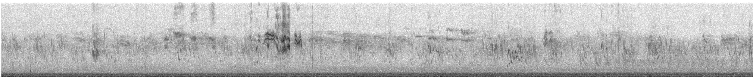 Tree Swallow - ML647362320