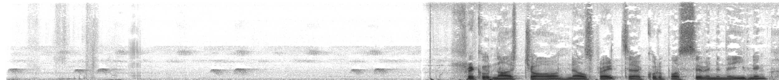 Freckled Nightjar - ML647362848