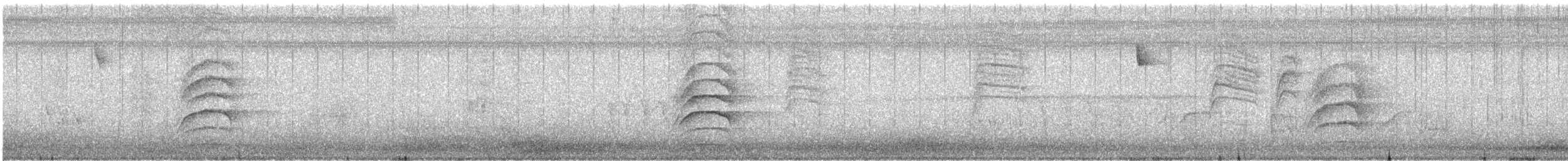 Perlita Grisilla (Oriental) - ML647364025