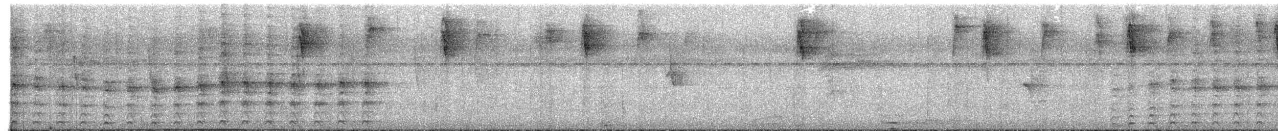 Двуцветный ястреб - ML647364337