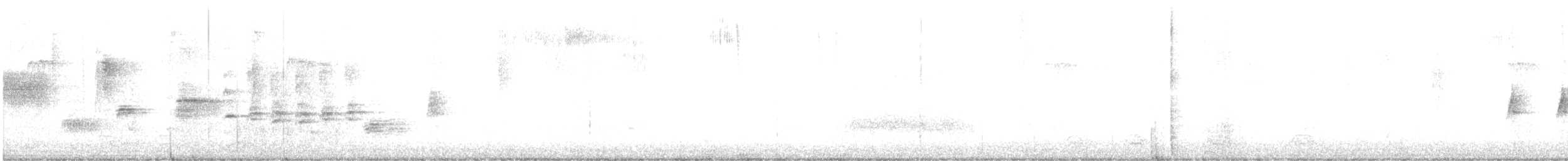 Chingolo Cantor - ML647364531