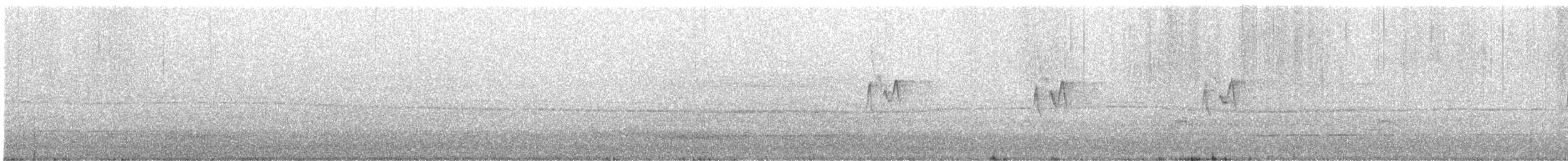 blekbrynsanger - ML647364633