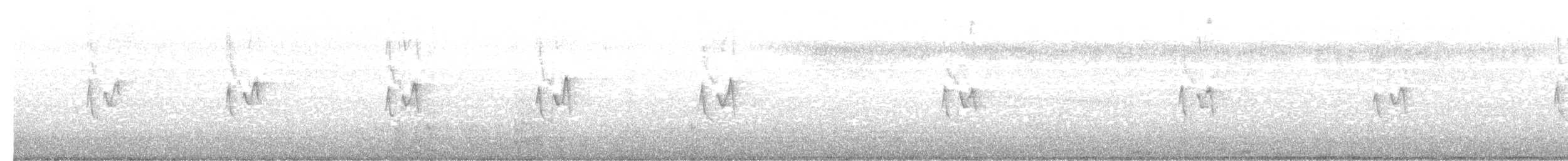 blekbrynsanger - ML647364637