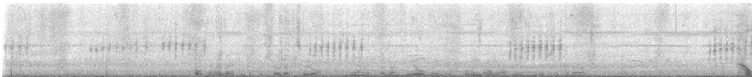 wren sp. - ML647365349