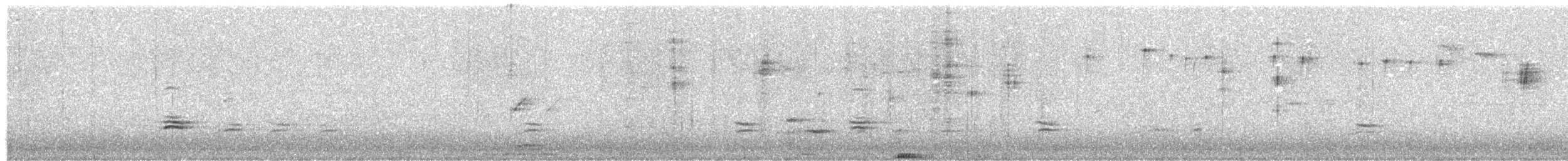 dompap - ML647365389