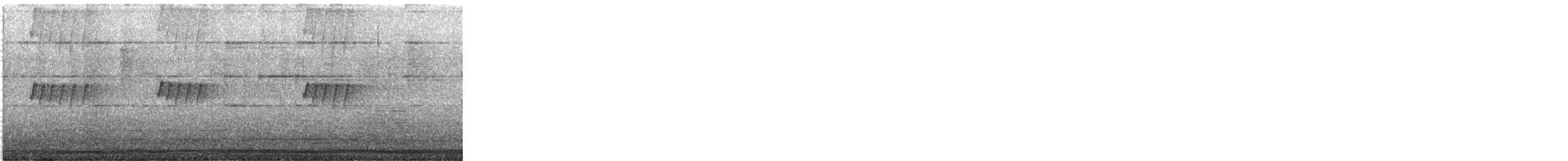 skjellbrystkolibri - ML647365522