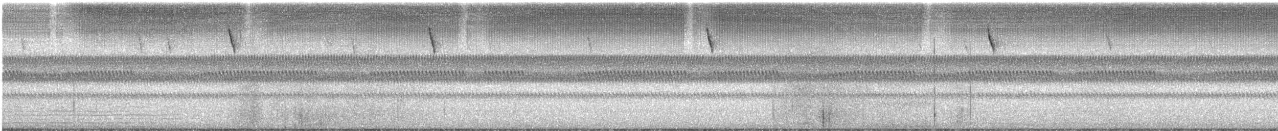 palmettospurv - ML647365549