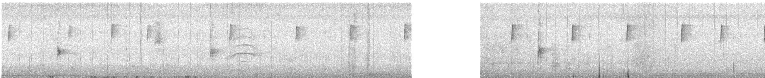 leiderspett - ML647365745