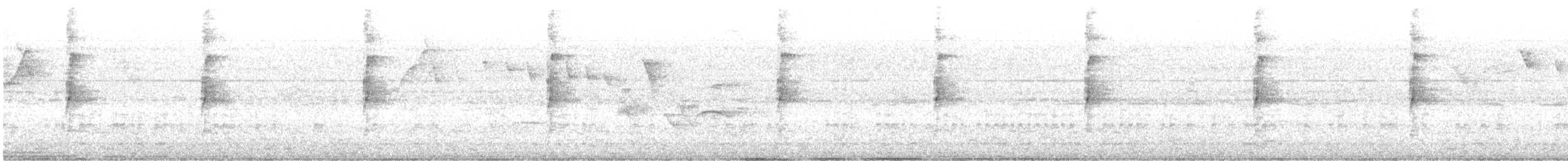 stripetyrann - ML647365780