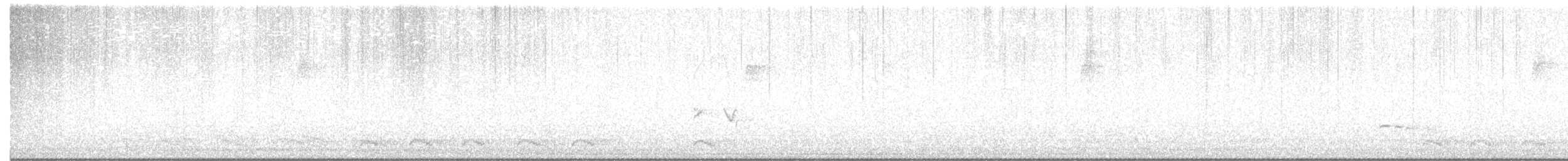 Смеречник тайговий (підвид leucura) - ML647365991