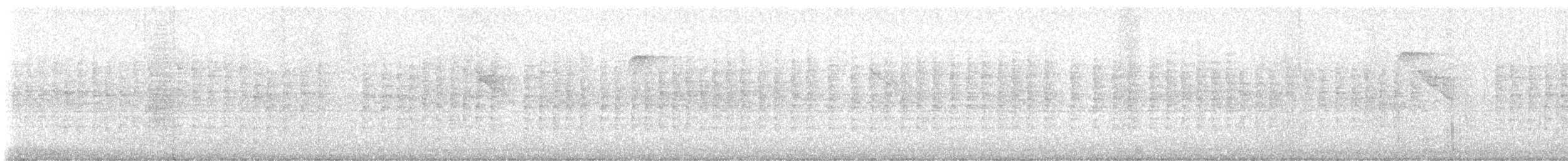 stripeløvgransker - ML647366032