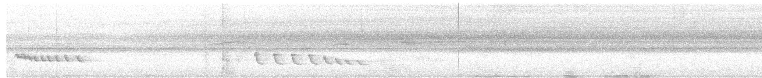 White-winged Becard - ML647366426