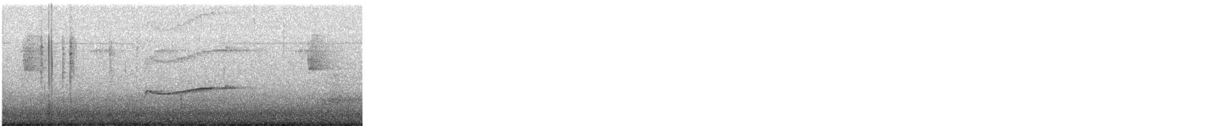 Eastern Wood-Pewee - ML647366827