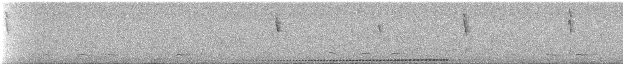 Undulated Antpitta - ML647368370