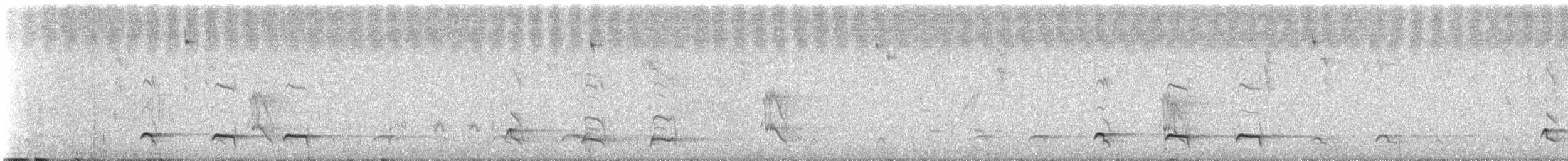 Tawny Antpitta - ML647369238