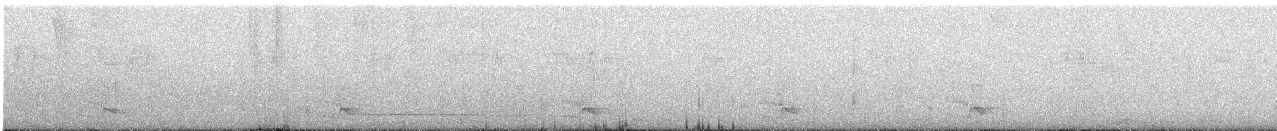 Slaty Antwren - ML647370506