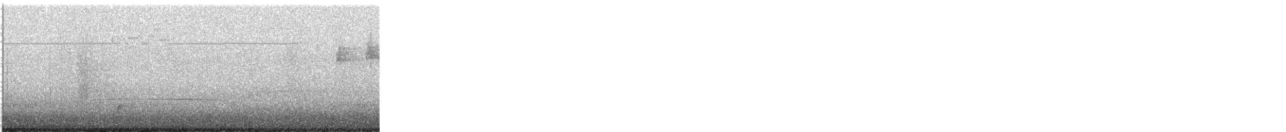 Swainson's Thrush - ML647370544