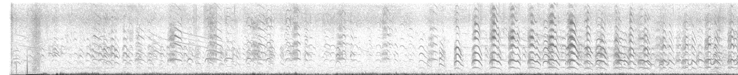 Southern Lapwing - ML647370909