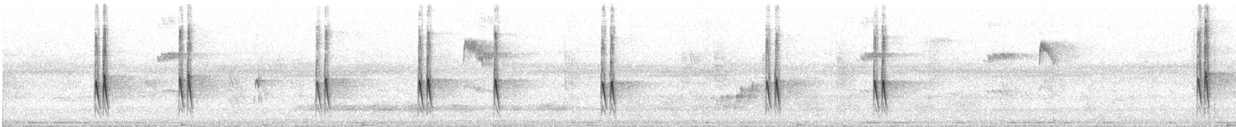 Streaked Spiderhunter - ML647371112