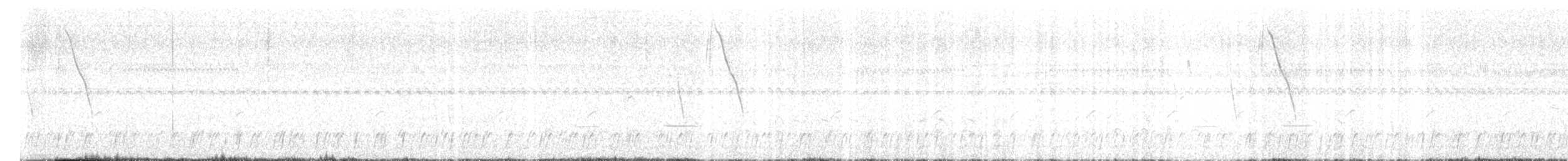 Striped Cuckoo - ML647371313