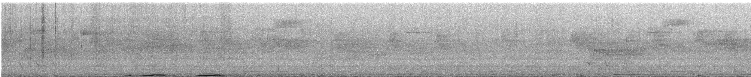 Mountain Imperial-Pigeon - ML647371417