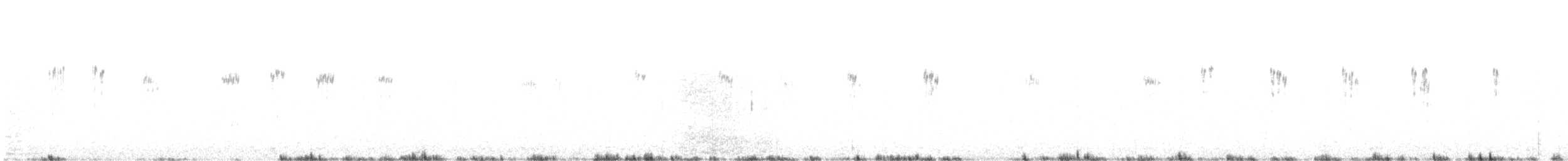 Dark-faced Ground-Tyrant - ML647371544