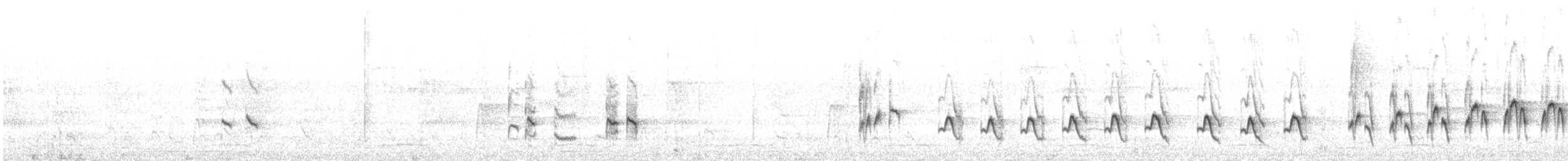 Spot-throated Babbler - ML647371691