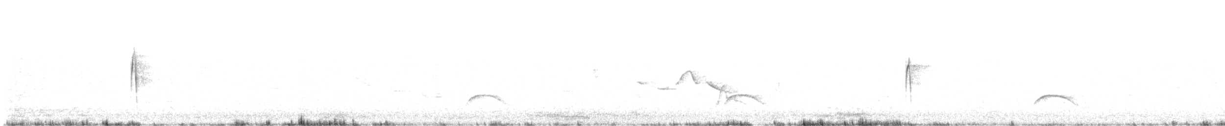 Buff-winged Cinclodes - ML647371789