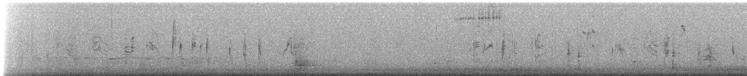 Perlita Grisilla (Occidental) - ML647372334