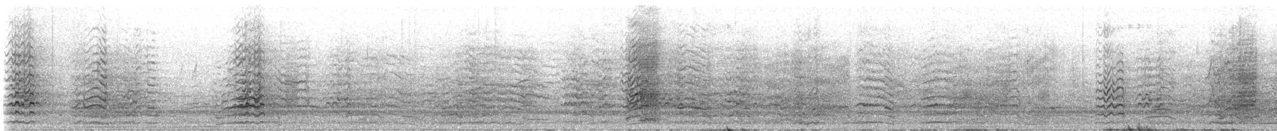 Küçük Korella Kakadusu - ML647373432