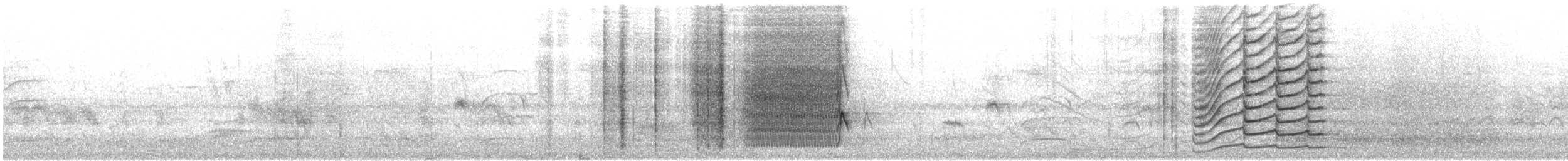 Büyük Kuyruklu Kiskal - ML647373878