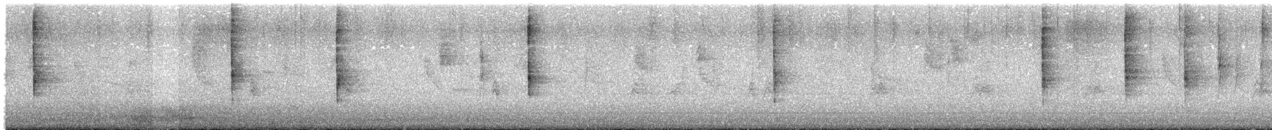 Louisiana Waterthrush - ML647375081