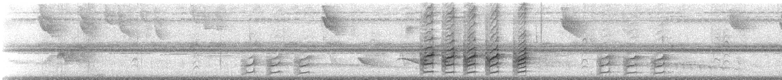 Pale-bellied Tyrant-Manakin - ML647375253