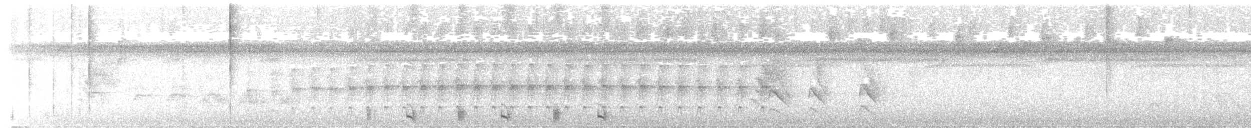 Manu Antbird - ML647375372