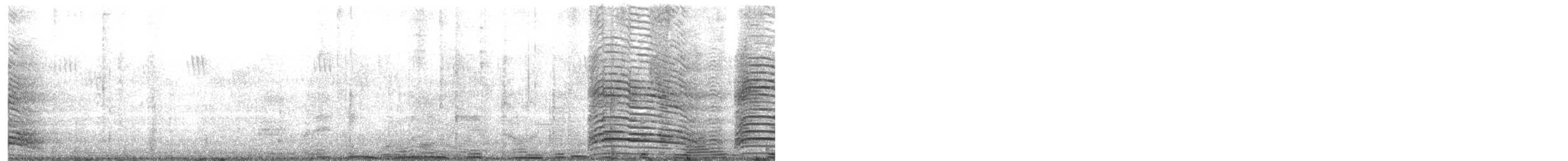 hadadaibis - ML647376286