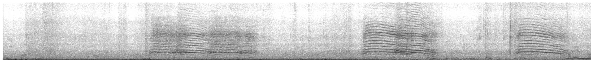 hadadaibis - ML647376287