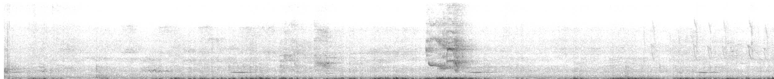 Burchell's Starling - ML647376387