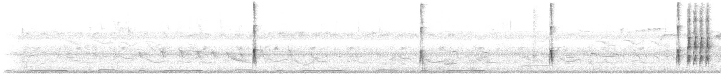 Pico Bataraz Chico - ML647376600