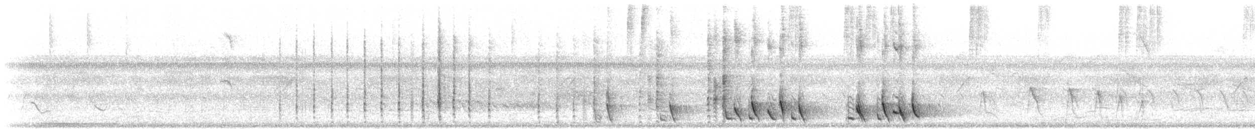Cucarachero Turdino - ML647376621