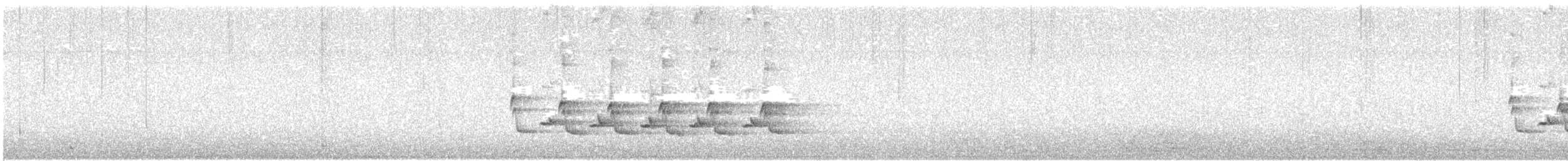 Carolina Wren - ML647377161