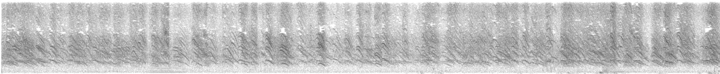 סנונית אמריקנית - ML647378202