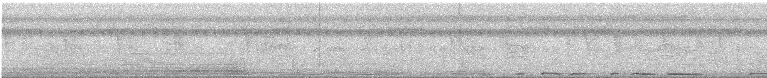 White-winged Dove - ML647378832