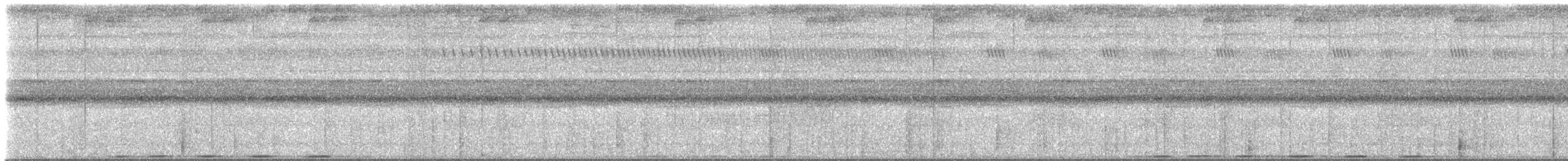 Greater Coucal - ML647379577