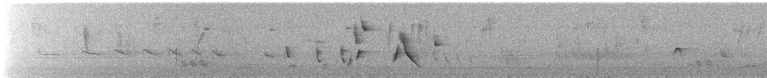 Collared Warbling Finch - ML647379945