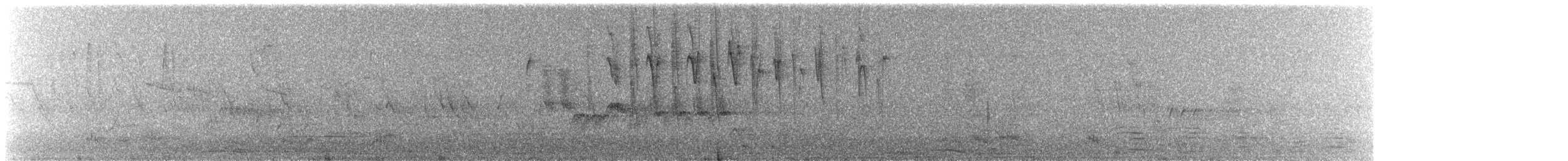 Cinereous Conebill - ML647379970